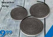 Weather Strip SGT2000-3 x 10mm 