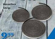 Weather Strip 5m-3x10mm  SGT2000