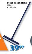 Steel Tooth Rake A006-16 Tooth