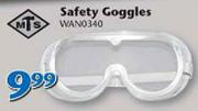 MTS Safety Goggles