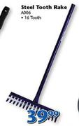 Steel 16 Tooth Rake A006
