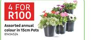 Assorted Annual Colour In 15cm Pots-For 4