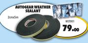 Autogear Weather Sealant 2cm x 5m WST001