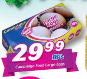 Cambridge Food Large Eggs-18's