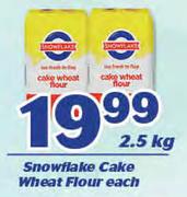 Snowflake Cake Wheat Flour Each-2.5 Kg