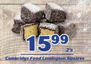 Cambridge Food Lemington Squares-2's