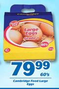 0Cambridge Food Large Eggs-60's