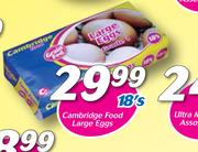 Cambridge Food Large Eggs-18's