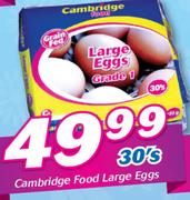 Cambridge Food Large Eggs-30's Pack