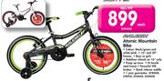Raleigh Atomic Mountain Bike-Each