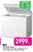 KIC 290L Chest Freezer KCG300/1-Each