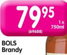 Bols Brandy-750ml