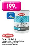 Plascon 5L Tint