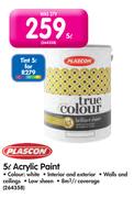 Plascon 5L Tint