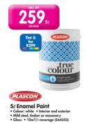 Plascon 5L Tint