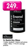 Homestead 5L Quick Dry Gloss