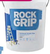 Rock Grip 5L Acrylic Paint