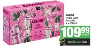 Absolut Vodka Cans Assorted-4 x 300ml Per Pack
