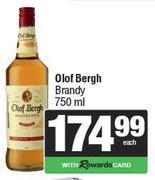 Olof Bergh Brandy-750ml