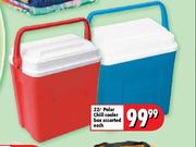 22l Polar chill cooler Box Assorted Each