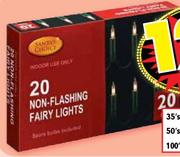 20 Non-Flashing Fairy Lights