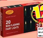 100 Non-Flaishing Fairy Lights