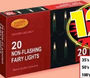 Indoor Non-Flashing Fairy Lights-20's