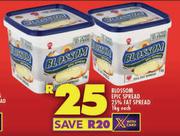 Blossom Epic Spread 25% Fat Spread-1Kg Each