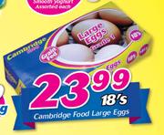 Cambridge Food Large Eggs-18's