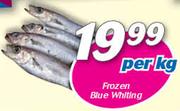 Frozen Blue Whiting-Per Kg