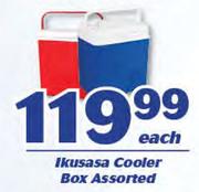 Ikusasa Cooler Box Assorted-Each