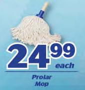 Prolar Mop-Each