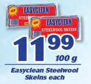 Easyclean Steelwool Skelns-100g Each