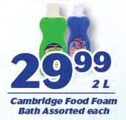Cambridge Food Foam Bath Assorted-2Ltr Each