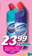 Domestos Thick Bleach Assorted-750ml Each