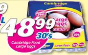 Cambridge Food Large Eggs 30’s