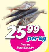 Frozen Maasbanker-Per Kg