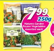 Natures Garden Frozen Vegetables Assorted-250g  Each