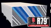 Ceiling Board-3 x 1.2m