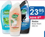 Radox Body Wash-250ml Each