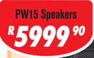 DXN Pro 15" DJ/PA Speakers Pair PW15