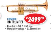 Sanchez Quality Brass Bb Trumpet  (STR300G)