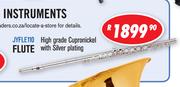 Jinyin Quality Woodwind Flute (JYFLE110)