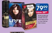 Schwarzkopf Palette Deluxe Roof Retoucher Or Live Intense Hair Colour-Each