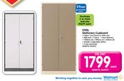 Steel Stationery Cupboard-Each