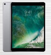 Apple iPad pro 12.9" WiFi & Cellular 512GB