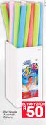 Pool Noodle In Assorted Colours-For 2