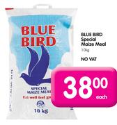 Blue Bird Special Maize Meal-10kg