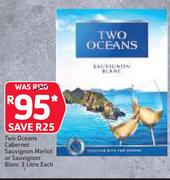 Two Oceans Cabernet Sauvignon Merlot Or Sauvignon 3Ltr-Each