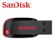 Sandisk 4GB USB
